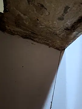 67yoki online show from 11-15-25, 05:55