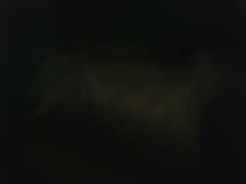 wolfffff32 online show from 10-18-25, 07:38