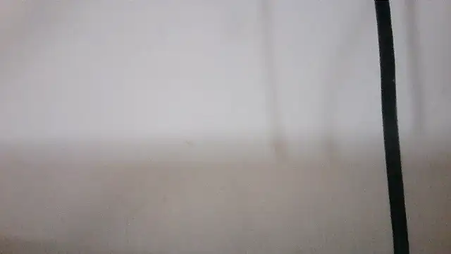 NATTYDOLL74 online show from 02-04-26, 09:43