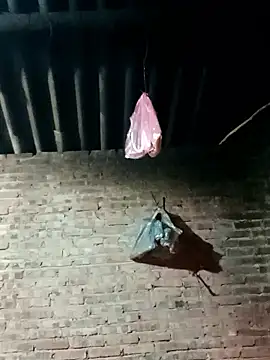 suka-bibi online show from 01-12-26, 11:17