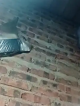 suka-bibi online show from 12-23-25, 12:00