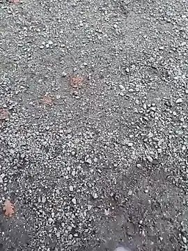 Imyourguy2025 online show from 11-01-25, 02:11