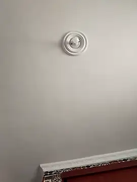 sophiasleepy1 online show from 11-14-25, 07:28