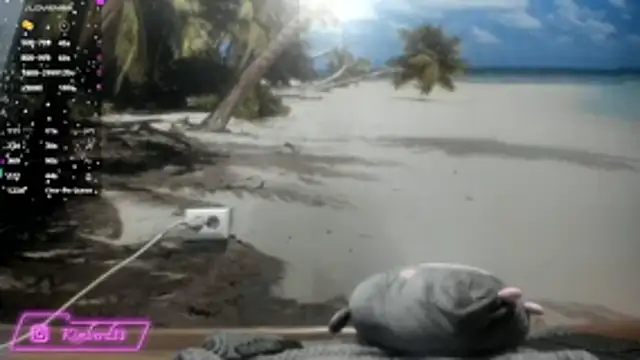 kimberd33 online show from 02-26-26, 03:12