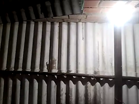 AfroditaSweetxh online show from 01-10-26, 10:32