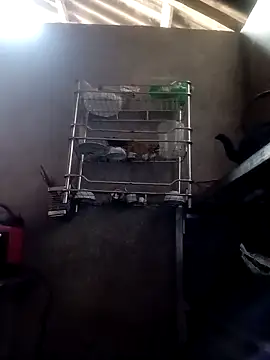 kokoto-59 online show from 02-28-26, 06:46