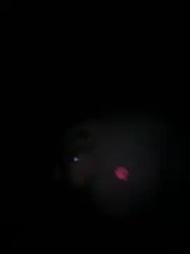 Paapii1098 online show from 03-15-26, 08:05