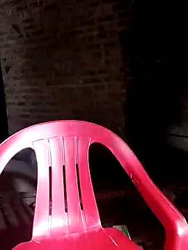 Bear bear0 online show from 11-03-25, 10:46