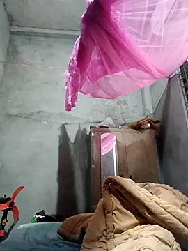 Bear bear0 online show from 12-22-25, 01:28