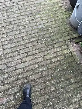 bart98geil online show from 03-10-26, 11:36