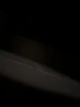 bart98geil online show from 04-06-26, 03:13