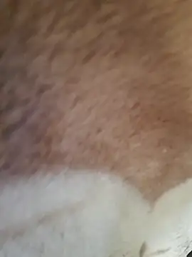 Perfect size online show from 11-20-25, 08:59