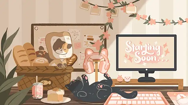 geekycastillo online show from 11-05-25, 03:42