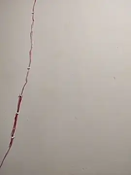 cutepussy356 online show from 12-05-25, 11:09