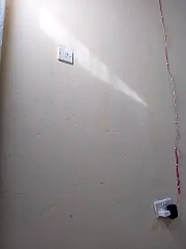cutepussy356 online show from 05-03-26, 05:34
