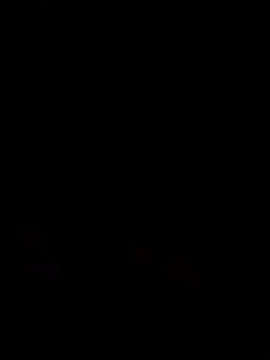  LAN  online show from 03-09-26, 09:51