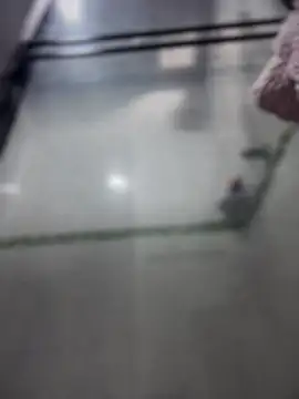 Violeet-Smith online show from 03-27-26, 02:51