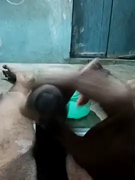 naveen 3222 online show from 11-25-25, 04:07