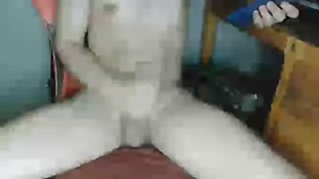 Snapshot of DevilDgrim chatting on 05-25-26, 01:16 DevilDgrim online show from 05-25-26, 01:16