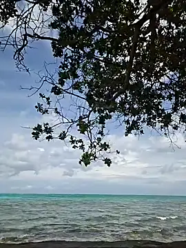 Trissa Benson online show from 10-31-25, 06:04