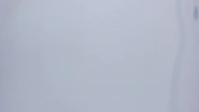 mirandaduboiss online show from 04-13-26, 05:06