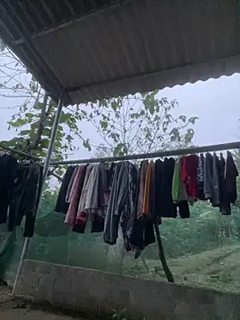 Irin jo online show from 03-11-26, 11:21