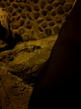 Rico1 1 online show from 11-14-25, 09:40