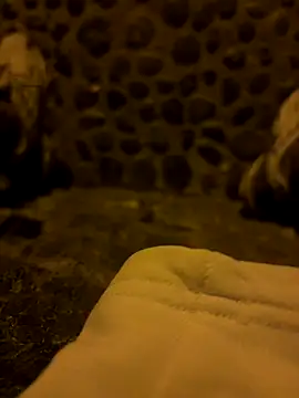 Rico1 1 online show from 11-18-25, 10:45