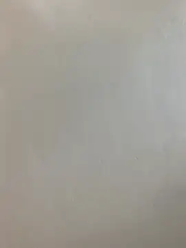 hairypussy254 online show from 04-19-26, 06:36