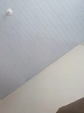 Morenodotado0 online show from 02-24-26, 03:35