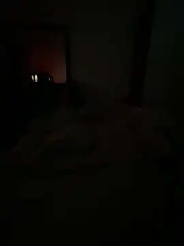 llllllllIIIll online show from 02-17-26, 04:43