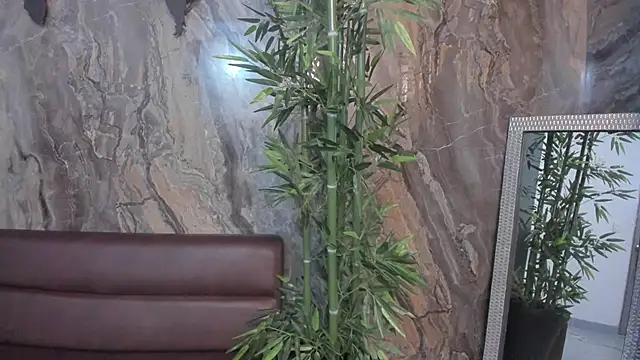 sydney miller  online show from 11-13-25, 11:30