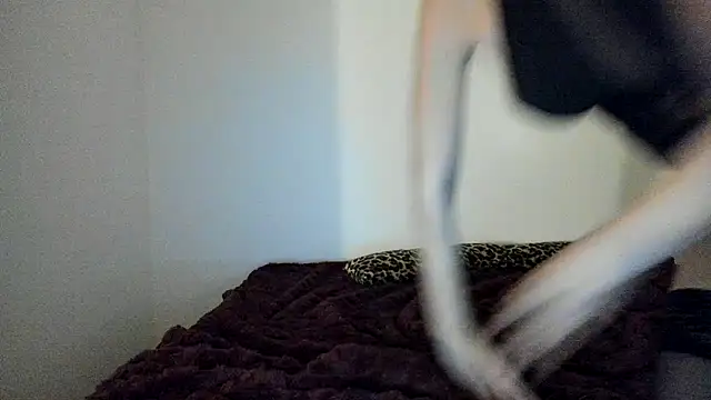 Blueskynicci online show from 11-18-25, 04:54