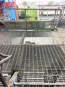 Snapshot of gorai55555 chatting on 10-26-25, 07:09 gorai55555 online show from 10-26-25, 07:09