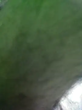 Morbosnif online show from 01-06-26, 09:30