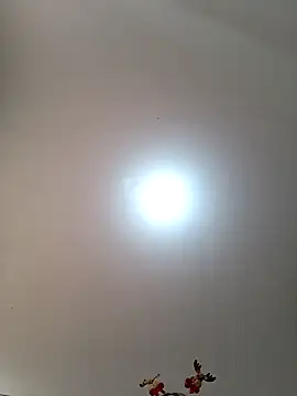 Lunatemptress4 online show from 12-01-25, 01:23