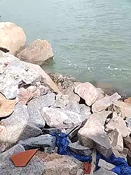 BruninhoRecife online show from 11-14-25, 04:32