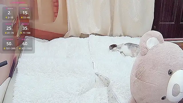 Snapshot of Dinan-y chatting on 01-13-26, 01:37 Dinan-y online show from 01-13-26, 01:37