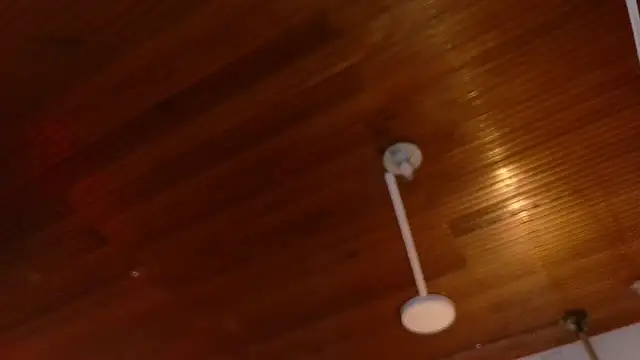 melissa  dolce online show from 03-23-26, 03:28