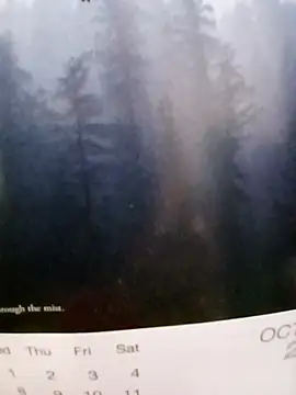 Snapshot of Kolkatacock06 chatting on 10-26-25, 06:08 Kolkatacock06 online show from 10-26-25, 06:08