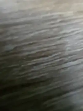 vivodan online show from 04-04-26, 03:07