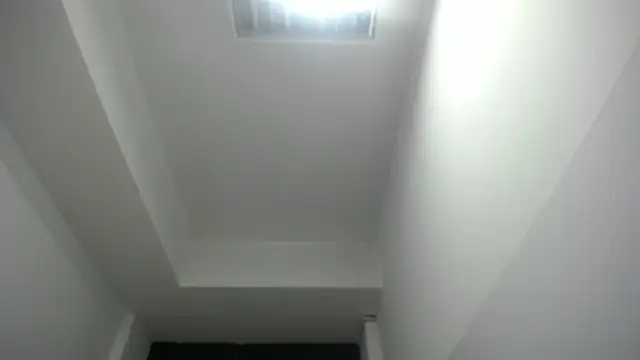 velvetvixen t online show from 12-21-25, 12:40