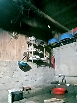 Noelle-e online show from 03-20-26, 11:17