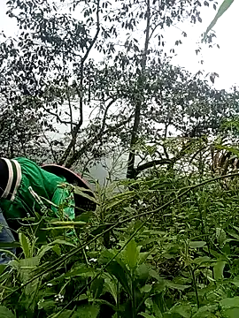 Phoena-a online show from 03-24-26, 02:22