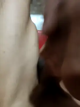 kkx997 online show from 04-29-26, 12:15