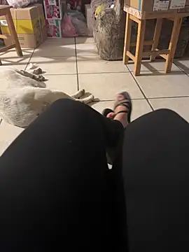 Evil kitty6 online show from 12-15-25, 12:27