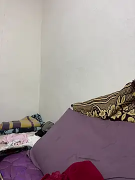 WildNour online show from 02-09-26, 02:04