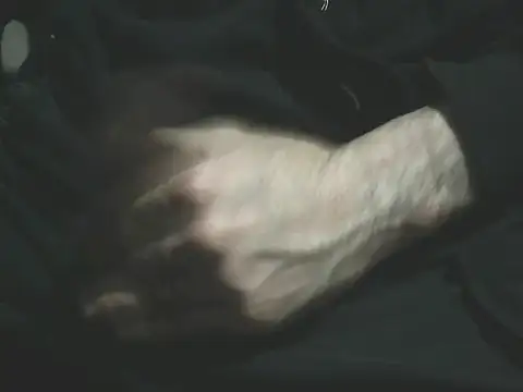 giovanift111 online show from 01-10-26, 12:50