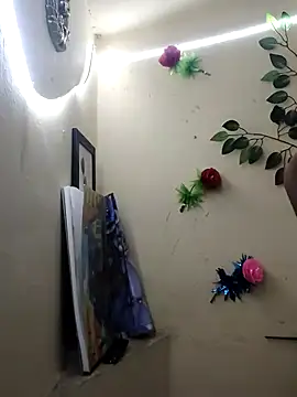 Indian-Glory online show from 01-11-26, 12:39