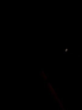 bella-la online show from 01-15-26, 10:57